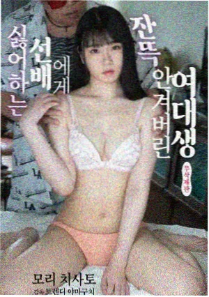 旧城灯火剧集封面